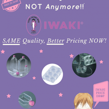 Iwaki Promotion